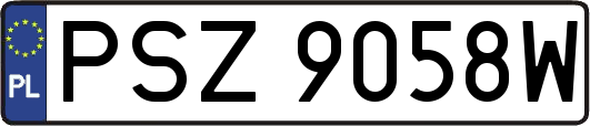 PSZ9058W