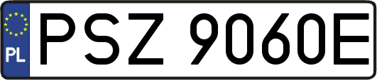 PSZ9060E