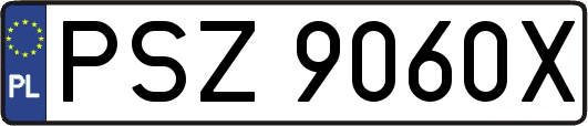 PSZ9060X