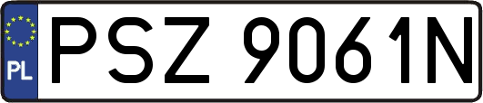PSZ9061N