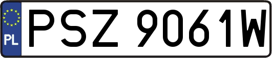 PSZ9061W