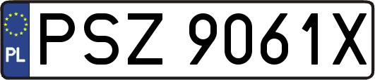 PSZ9061X