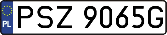 PSZ9065G