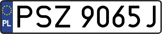 PSZ9065J