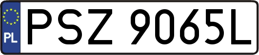 PSZ9065L