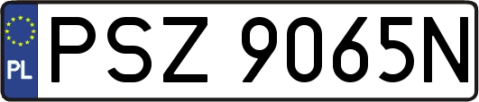 PSZ9065N