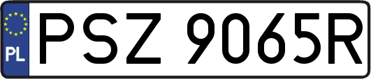 PSZ9065R