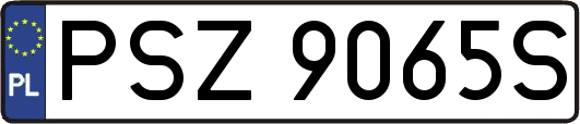 PSZ9065S