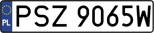 PSZ9065W