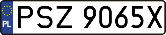 PSZ9065X