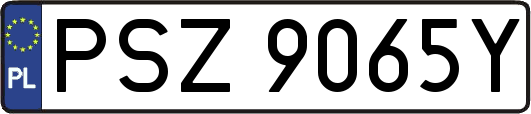 PSZ9065Y