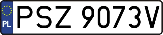 PSZ9073V