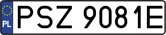 PSZ9081E
