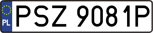 PSZ9081P