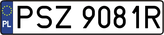 PSZ9081R