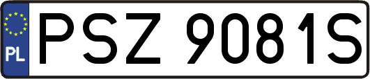 PSZ9081S