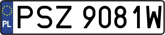 PSZ9081W