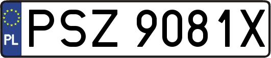 PSZ9081X