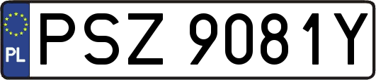 PSZ9081Y