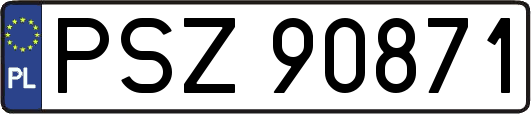 PSZ90871