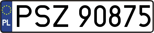PSZ90875