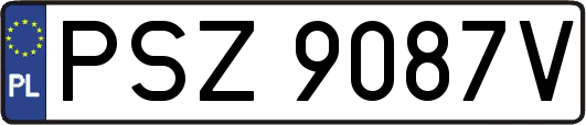 PSZ9087V
