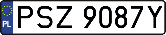 PSZ9087Y