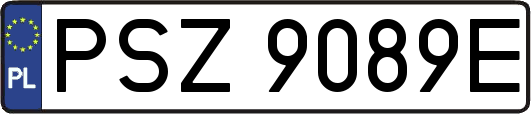 PSZ9089E