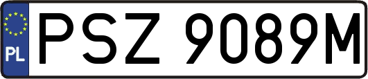 PSZ9089M