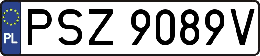PSZ9089V