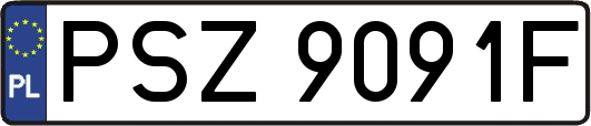 PSZ9091F