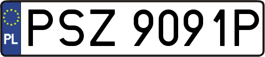 PSZ9091P