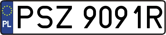 PSZ9091R