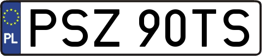 PSZ90TS