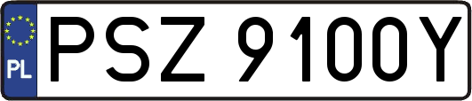 PSZ9100Y