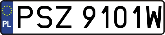 PSZ9101W