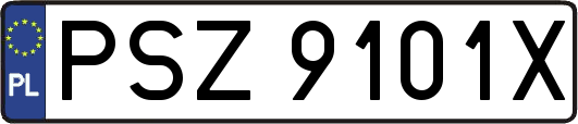 PSZ9101X