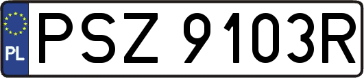 PSZ9103R