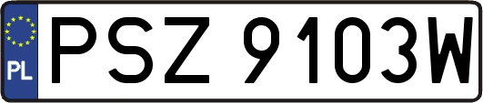 PSZ9103W