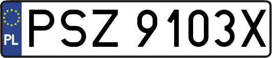 PSZ9103X