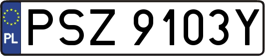 PSZ9103Y
