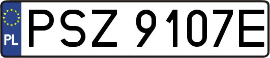 PSZ9107E
