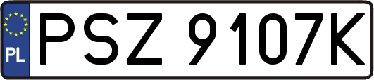 PSZ9107K