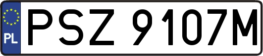 PSZ9107M