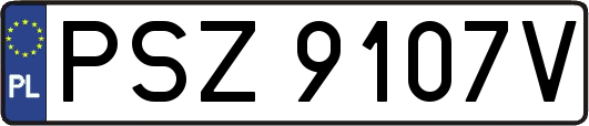 PSZ9107V