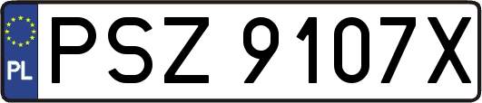 PSZ9107X