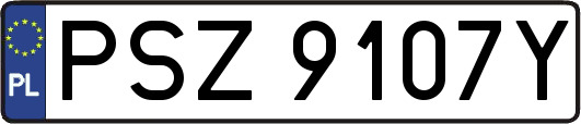 PSZ9107Y