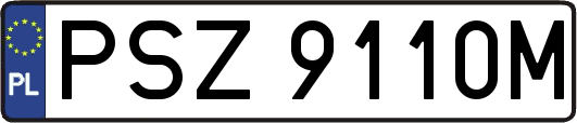 PSZ9110M