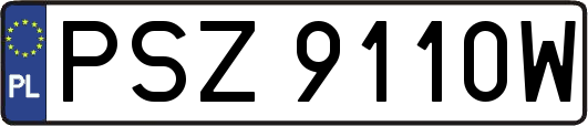 PSZ9110W