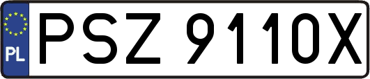 PSZ9110X